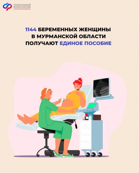 В Мурманской области единое пособие получают не только семьи с детьми, но и беременные женщины