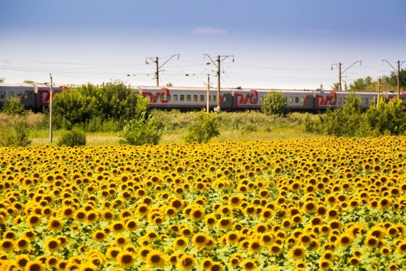 Возобновлена продажа билетов на поезд Мурманск-Анапа
