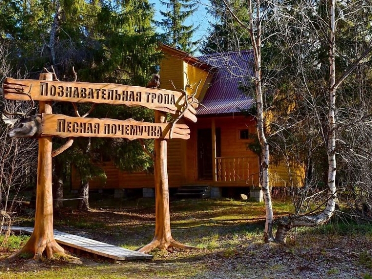 Предприниматели Мурманской области могут получить субсидии на развитие туризма   