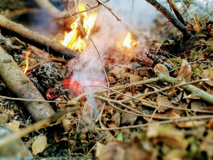Юные северяне могут рассказать, как оберегать леса от огня