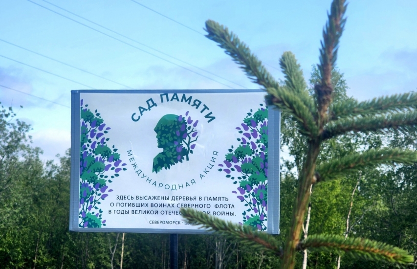 Североморск вновь присоединился к всероссийской акции «Сад Памяти»