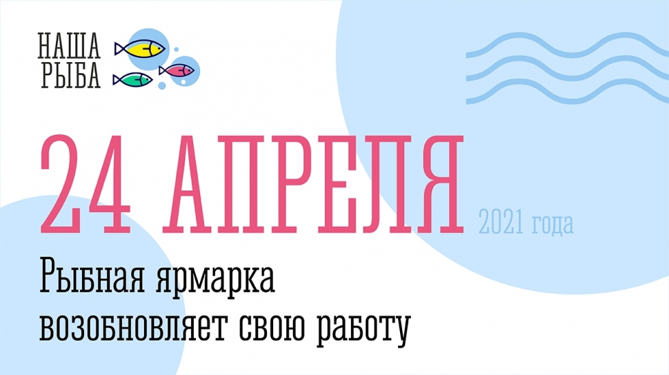 Рыбная ярмарка возобновляет работу