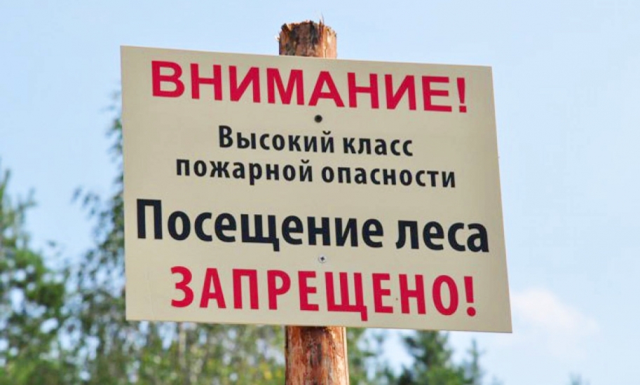 Ограничения пребывания граждан в лесах