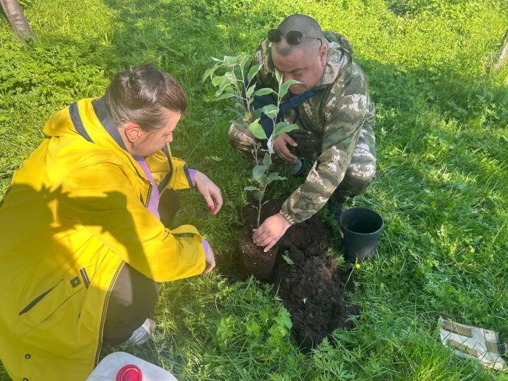 Яблоня в память о павших товарищах