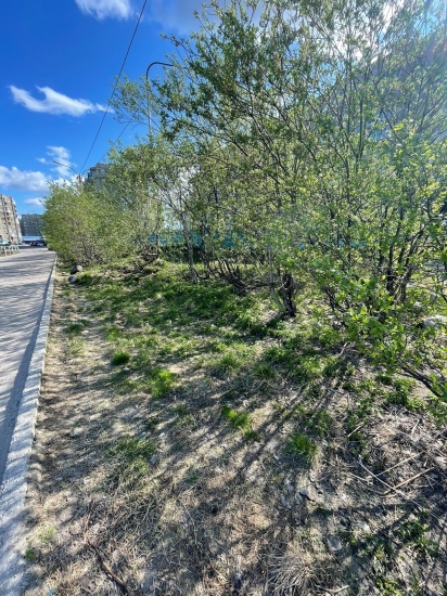 В Североморске продолжаются субботники