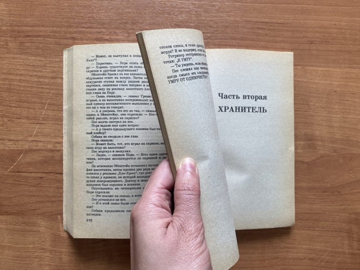 У северян большой интерес к хоррор-романам
