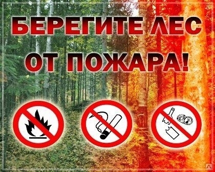 На территории области ликвидированы два лесных пожара