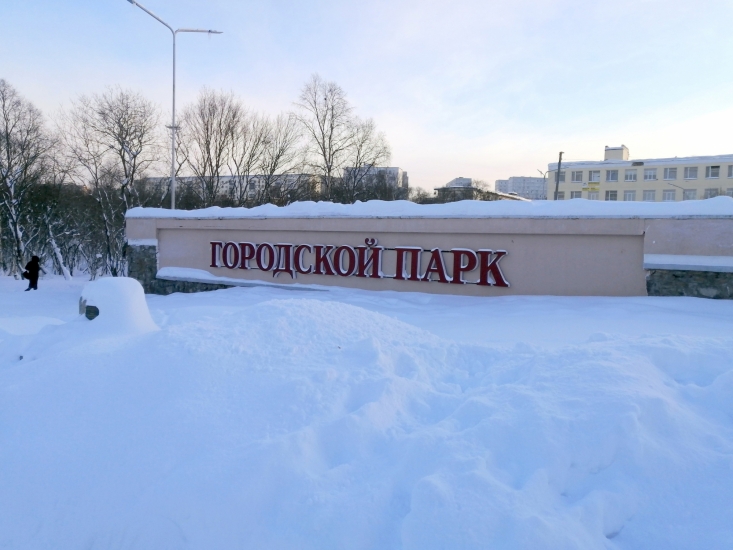 Началось голосование за концепцию скейт-парка