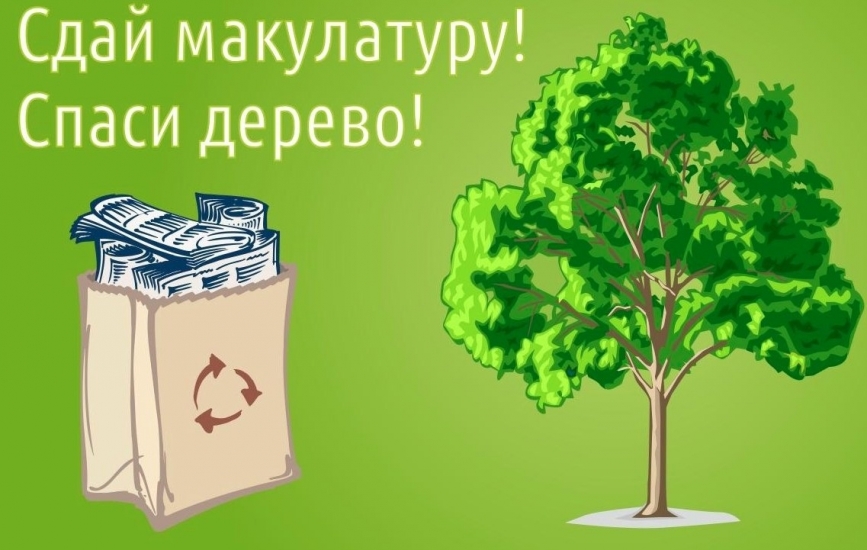 Сдав макулатуру, вы поможете участникам специальной военной операции