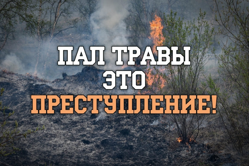 Пал травы - это преступление!