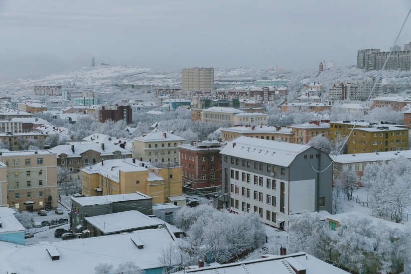 Обновлен сервис оформления фитосанитарных сертификатов