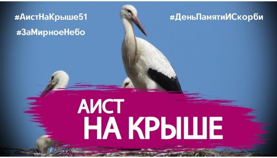 Всероссийская акция «Аист на крыше»
