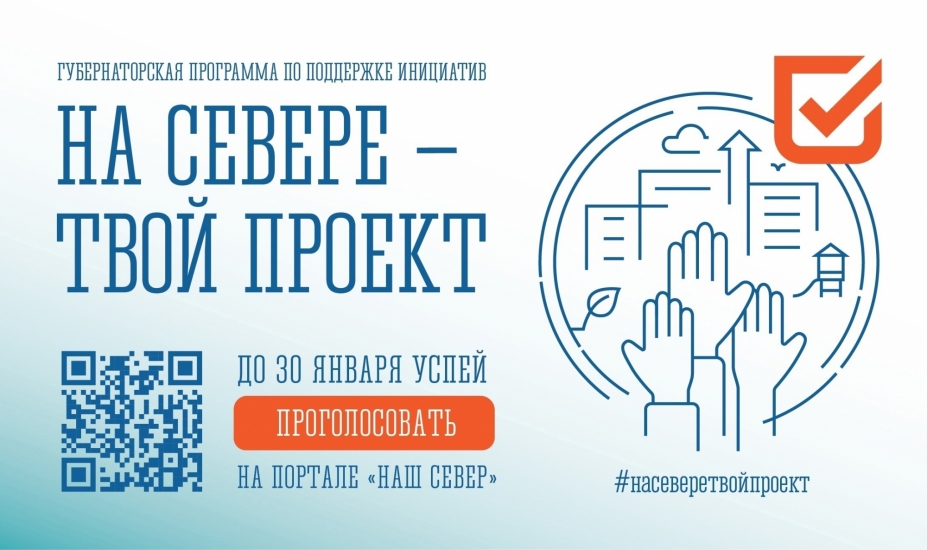 Более 20 тысяч северян проголосовали за инициативы жителей Мурманской области в рамках программы «На Севере – твой проект»