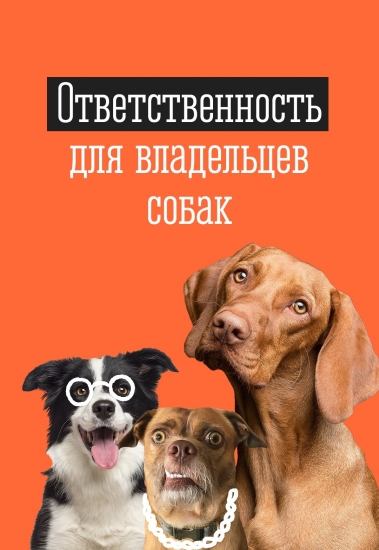 Обновились правила содержания и выгула собак