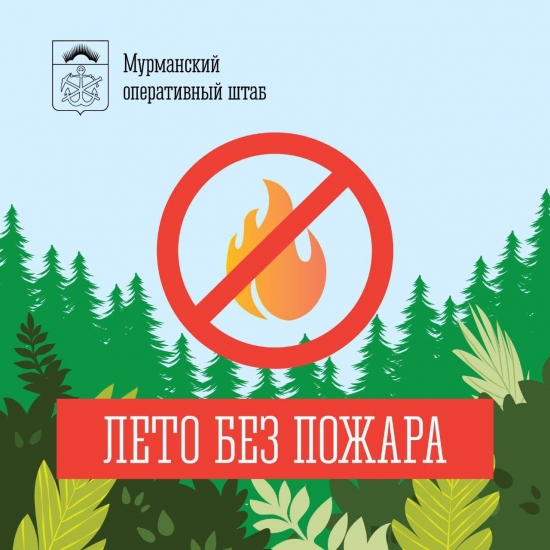 С наступлением теплой погоды усилен контроль за соблюдением правил пожарной безопасности в лесах