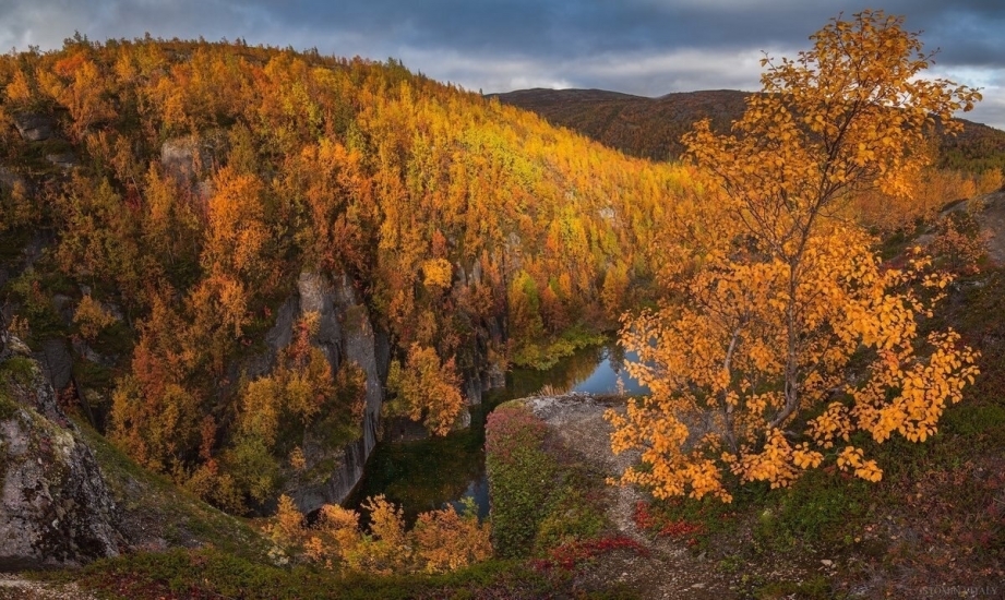 32 рейда по охране природы прошло в Мурманской области