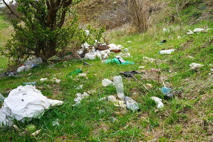 Жителям региона напомнили о штрафах за выброс мусора в лесу   