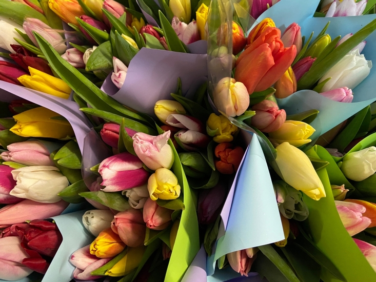 Цветочная ярмарка в парке