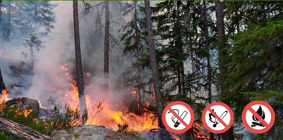 Для предупреждения лесных пожаров