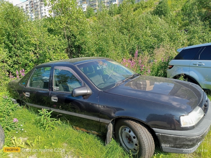 Комитет по развитию городского хозяйства разыскивает владельца автомобилей