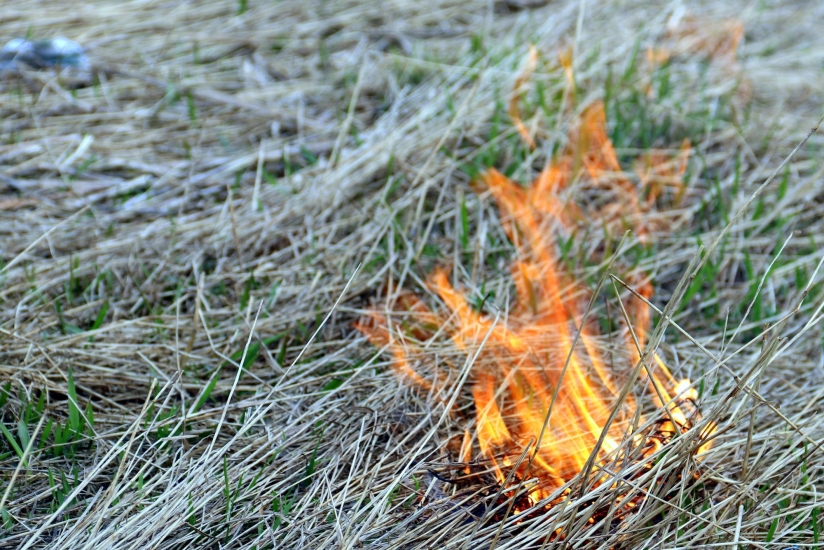 Земнадзор предупреждает об опасности возгорания сухой  травяной растительности 