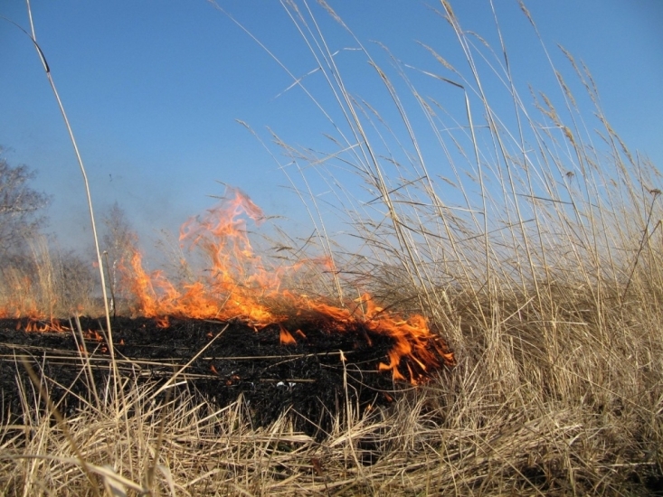 О запрете выжигания сухой травянистой растительности