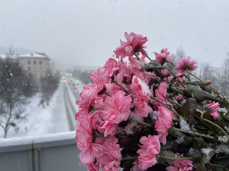 С Международным женским днем!