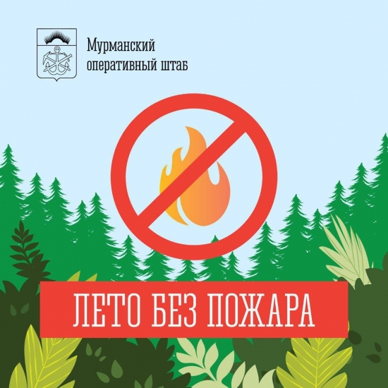 Лето без пожаров