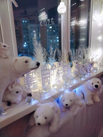 До 15 января продлится прием заявок участие в региональном конкурсе «Окно в Новый год»