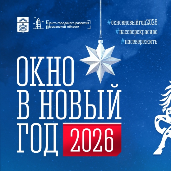 «Окно в Новый год»: прием заявок